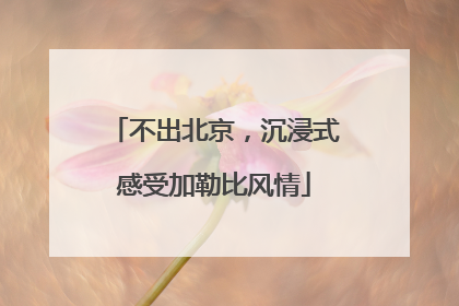 不出北京，沉浸式感受加勒比风情