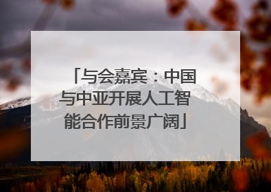 与会嘉宾：中国与中亚开展人工智能合作前景广阔