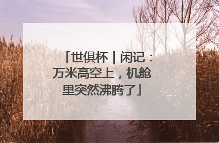 世俱杯｜闲记：万米高空上，机舱里突然沸腾了