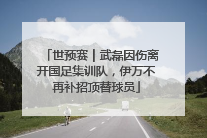 世预赛｜武磊因伤离开国足集训队，伊万不再补招顶替球员