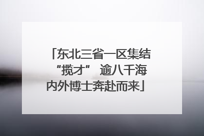 东北三省一区集结“揽才” 逾八千海内外博士奔赴而来