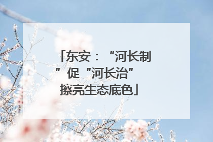 东安：“河长制”促“河长治” 擦亮生态底色