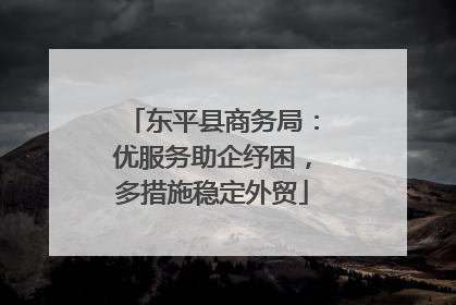 东平县商务局：优服务助企纾困，多措施稳定外贸