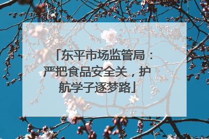 东平市场监管局：严把食品安全关，护航学子逐梦路