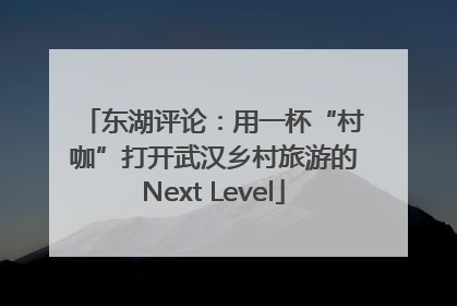 东湖评论：用一杯“村咖”打开武汉乡村旅游的Next Level