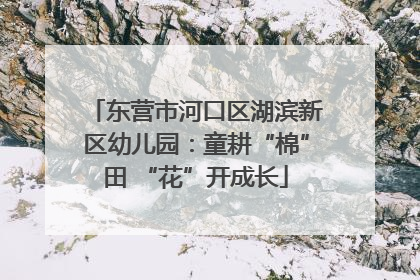 东营市河口区湖滨新区幼儿园：童耕“棉”田 “花”开成长