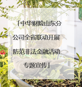 中华财险山东分公司全省联动开展防范非法金融活动专题宣传