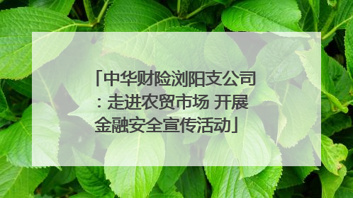 中华财险浏阳支公司：走进农贸市场 开展金融安全宣传活动