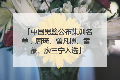 中国男篮公布集训名单，周琦、曾凡博、雷蒙、廖三宁入选