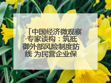 中国经济微观察·专家谈构：筑抵御外部风险制度防线 为民营企业保驾护航