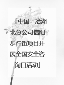 中国一冶湖北分公司信阳步行街项目开展全国安全咨询日活动