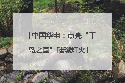 中国华电：点亮“千岛之国”璀璨灯火