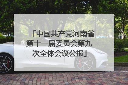 中国共产党河南省第十一届委员会第九次全体会议公报