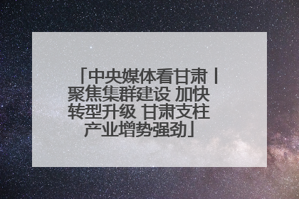中央媒体看甘肃丨聚焦集群建设 加快转型升级 甘肃支柱产业增势强劲