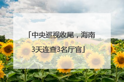 中央巡视收尾，海南3天连查3名厅官