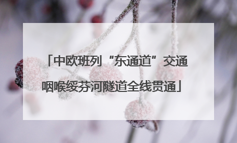 中欧班列“东通道”交通咽喉绥芬河隧道全线贯通