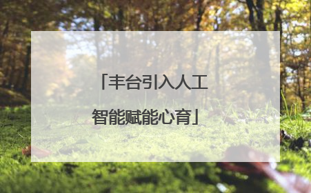 丰台引入人工智能赋能心育