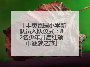 丰奥嘉园小学新队员入队仪式：82名少年开启红领巾逐梦之旅