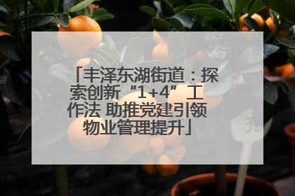 丰泽东湖街道：探索创新“1+4”工作法 助推党建引领物业管理提升