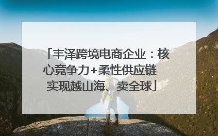 丰泽跨境电商企业：核心竞争力+柔性供应链 实现越山海、卖全球