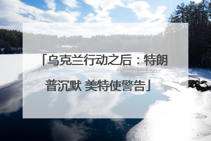 乌克兰行动之后：特朗普沉默 美特使警告