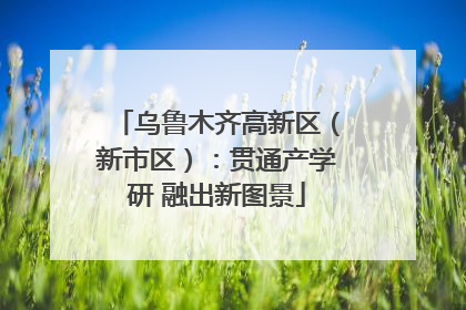 乌鲁木齐高新区（新市区）：贯通产学研 融出新图景