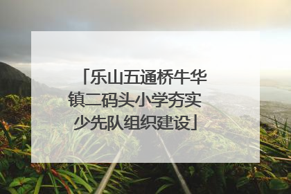 乐山五通桥牛华镇二码头小学夯实少先队组织建设
