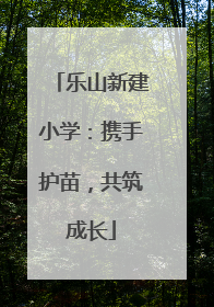 乐山新建小学：携手护苗，共筑成长