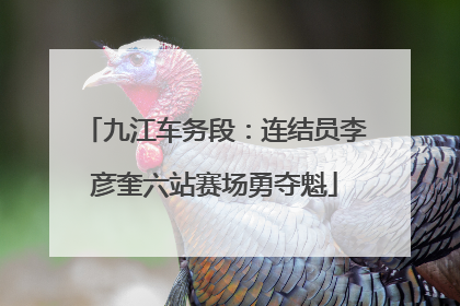 九江车务段：连结员李彦奎六站赛场勇夺魁