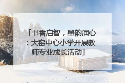 书香启智，墨韵润心：大窑中心小学开展教师专业成长活动