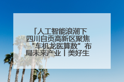 人工智能浪潮下 四川自贡高新区聚焦“车机龙医算数”布局未来产业丨美好生活有“盐”味