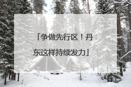 争做先行区！丹东这样持续发力