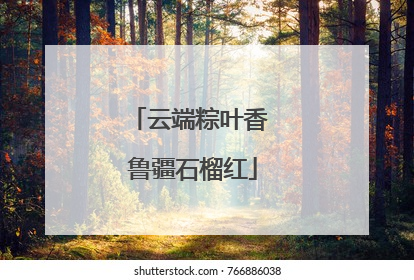 云端粽叶香 鲁疆石榴红