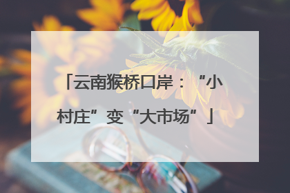 云南猴桥口岸：“小村庄”变“大市场”