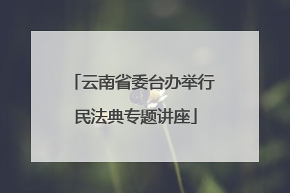 云南省委台办举行民法典专题讲座