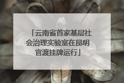 云南省首家基层社会治理实验室在昆明官渡挂牌运行