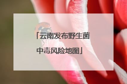 云南发布野生菌中毒风险地图