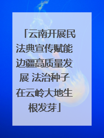 云南开展民法典宣传赋能边疆高质量发展 法治种子在云岭大地生根发芽