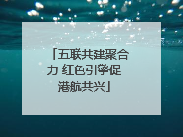 五联共建聚合力 红色引擎促港航共兴