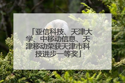 亚信科技、天津大学、中移动信息、天津移动荣获天津市科技进步一等奖