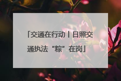 交通在行动丨日照交通执法“粽”在岗