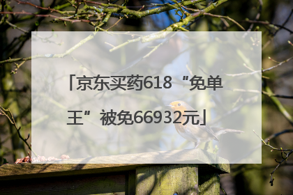 京东买药618“免单王”被免66932元