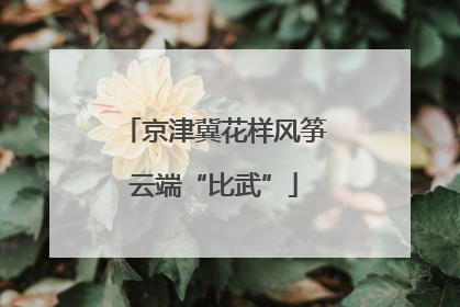 京津冀花样风筝云端“比武”