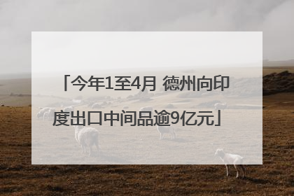 今年1至4月 德州向印度出口中间品逾9亿元