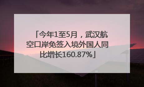 今年1至5月，武汉航空口岸免签入境外国人同比增长160.87%