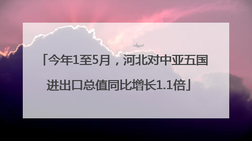 今年1至5月，河北对中亚五国进出口总值同比增长1.1倍