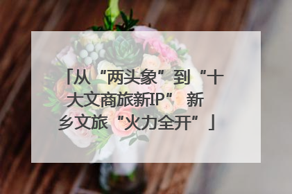 从“两头象”到“十大文商旅新IP” 新乡文旅“火力全开”