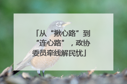 从“揪心路”到“连心路”，政协委员牵线解民忧