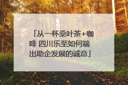 从一杯桑叶茶+咖啡 四川乐至如何端出助企发展的诚意