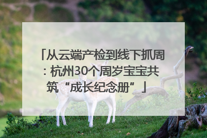 从云端产检到线下抓周：杭州30个周岁宝宝共筑“成长纪念册”